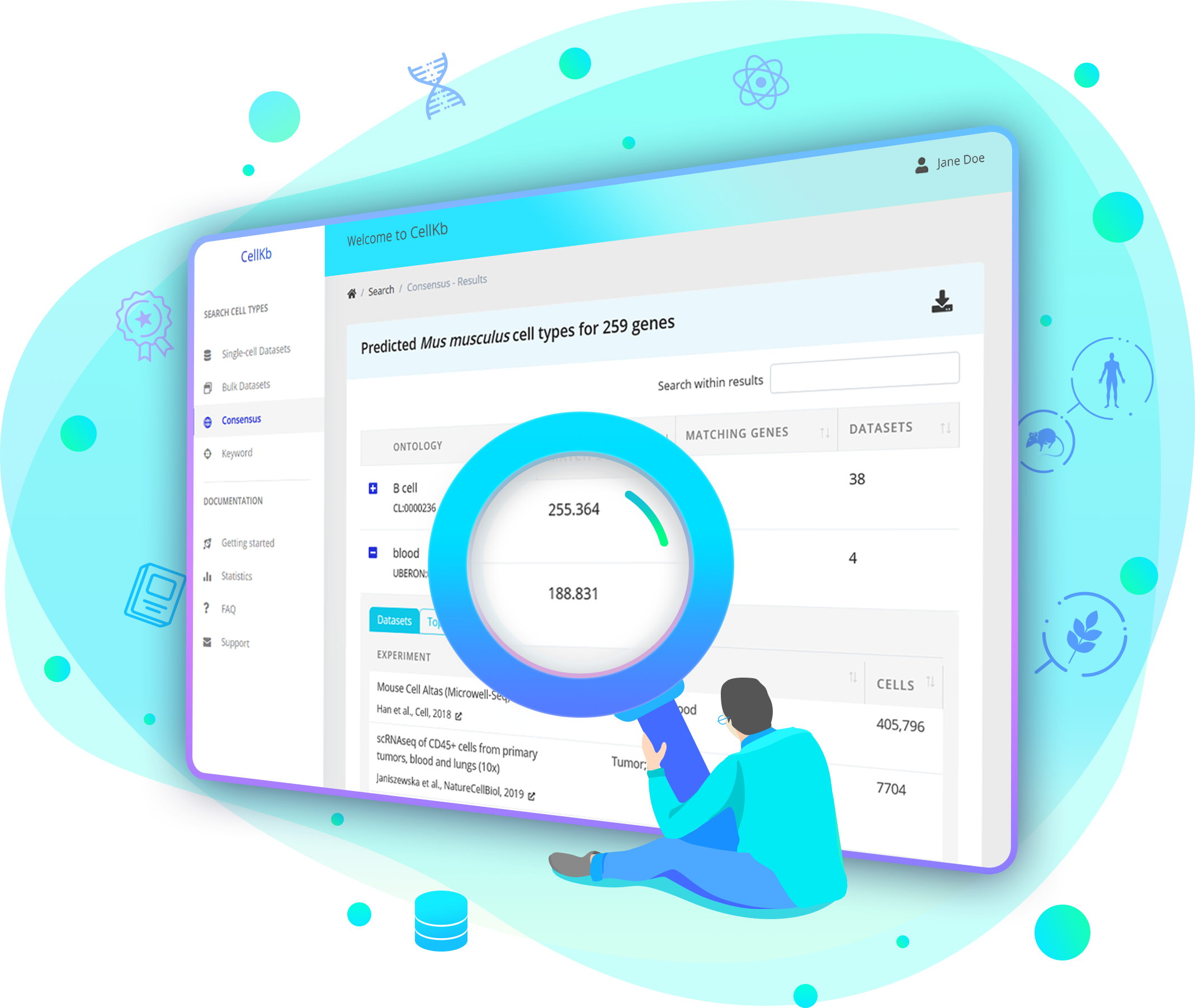 Responsive image